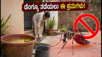 ಡೆಂಗ್ಯೂ ಭೀತಿ: ನಿಮ್ಮ ಮನೆಯನ್ನು ಸುರಕ್ಷಿತವಾಗಿಡಲು ಮತ್ತು ಆರೋಗ್ಯ ಕಾಪಾಡಿಕೊಳ್ಳಲು ಈ ಸರಳ ಕ್ರಮಗಳನ್ನು ಮರೆಯದಿರಿ!