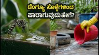 ಬೆಳಗಿನ ವಾಕಿಂಗ್ ಹೋಗ್ತಿದ್ದೀರಾ? ಡೆಂಗ್ಯೂ ಸೊಳ್ಳೆಗಳಿಂದ ಪಾರಾಗಲು ಈ ಸರಳ ಟಿಪ್ಸ್ ಮಿಸ್ ಮಾಡ್ಬೇಡಿ!