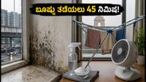 ದೆಹಲಿ ಮಳೆ: ನಿಮ್ಮ ಮನೆಯಲ್ಲಿ ಬೂಷ್ಟು ಮತ್ತು ತೇವಾಂಶ ತಡೆಯಲು 45 ನಿಮಿಷದ ಸಿಂಪಲ್ ಪ್ಲಾನ್!