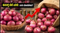 ಈರುಳ್ಳಿ ಬೆಲೆ ಏರಿಕೆ: ಬಜೆಟ್ ಉಳಿಸಲು ಮತ್ತು ಈರುಳ್ಳಿ ದೀರ್ಘಕಾಲ ಸಂಗ್ರಹಿಸಲು ಸರಳ ಟಿಪ್ಸ್