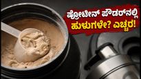 ಪ್ರೊಟೀನ್ ಪೌಡರ್‌ನಲ್ಲಿ ಹುಳುಗಳು! ಬಾಲಿವುಡ್ ನಟಿಯ ಆತಂಕ, ಎಫ್‌ಡಿಎ ತನಿಖೆ ಮತ್ತು ನೀವು ತಿಳಿಯಲೇಬೇಕಾದ ಸುರಕ್ಷತಾ ಟಿಪ್ಸ್