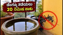 ದೆಹಲಿಯಲ್ಲಿ ಡೆಂಗ್ಯೂ ಭೀತಿ: ನಿಮ್ಮ ಮನೆಯನ್ನು ಸೊಳ್ಳೆ ಮುಕ್ತವಾಗಿಸಲು 20 ನಿಮಿಷಗಳ ಈ ಚೆಕ್‌ಲಿಸ್ಟ್ ಬಳಸಿ