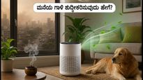ಹೊರಗೆ ಮಾಲಿನ್ಯ, ಮನೆಯೊಳಗೆ ಉಸಿರುಗಟ್ಟುವ ವಾತಾವರಣವೇ? ಗಾಳಿ ಶುದ್ಧೀಕರಿಸಲು ಇಲ್ಲಿದೆ ಸರಳ ಟಿಪ್ಸ್!