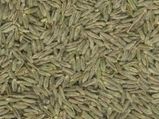 05 29 Health Beneftis Cumin Seeds