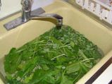 How To Clean Greens