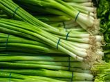 12 Benefits Of Green Onions