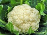 Cauliflower Health Benefits