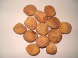 Health Benefits Dried Apricots