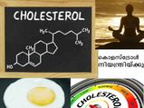 കൊളസ്‌ട്രോള്‍ നിങ്ങള്‍ക്കു തന്നെ നിയന്ത്രിയ്ക്കാം