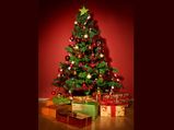 Eight Ways To Go Tree Less This Christmas