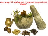 ഒരു മരുന്നിനുമില്ല ഈ നാട്ടുവൈദ്യങ്ങളുടെ ശക്തി