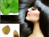 Ayurvedic Remedies Grow Thick Hair