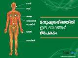 മനുഷ്യശരീരത്തിൽ അപകടം ഒളിച്ചിരിക്കുന്നത് ഇവിടെയാണ്
