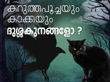 കറുത്തപൂച്ചയും കാക്കയും; വിശ്വാസങ്ങളിലെ കളികള്‍