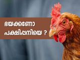 ഭയക്കണോ പക്ഷിപ്പനിയെ? ഈ കാര്യങ്ങള്‍ ശ്രദ്ധിക്കാം