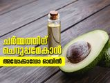 ചര്‍മ്മത്തിന് ചെറുപ്പം നല്‍കും അവോക്കാഡോ ഓയില്‍