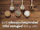 പെട്ടെന്ന് ഗര്‍ഭധാരണത്തിന് സീഡ് സൈക്ലിംഗ്‌