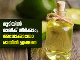 മുടിയില്‍ മാജിക്ക്; അവോക്കാഡോ ഓയില്‍ ഇങ്ങനെ