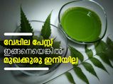 വേപ്പില പേസ്റ്റ് ഇങ്ങനെയെങ്കില്‍ മുഖക്കുരു ഇല്ല