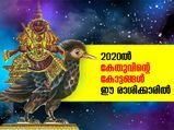2020ല്‍ കേതുവിന്റെ കോട്ടങ്ങള്‍ ഈ രാശിക്കാരില്‍