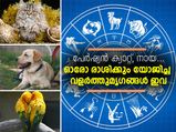 ഓരോ രാശിക്കും യോജിച്ച വളര്‍ത്തുമൃഗങ്ങള്‍ ഇവ