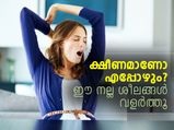 ക്ഷീണമാണോ എപ്പോഴും? ഊര്‍ജ്ജത്തിന് പതിവാക്കൂ ഈ ശീലം