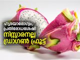 നിസ്സാരനല്ല; ഡ്രാഗണ്‍ ഫ്രൂട്ട് ഒരു അത്ഭുത പഴം