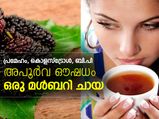 ഇനി വെറും ചായ വേണ്ട; മള്‍ബറി ചായ കുടിക്കൂ