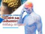 വിറ്റാമിന്‍ കെ: ശരീരത്തിന് ഇത്രയും ഗുണമോ?
