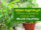 വീട്ടിലെ തുളസി നല്‍കും ഐശ്വര്യവും ഭാഗ്യവും