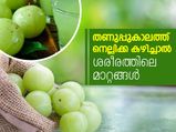തണുപ്പുകാലത്ത് നെല്ലിക്ക കഴിച്ചാല്‍ ശരീരത്തിലെ മാറ്റങ്ങള്‍
