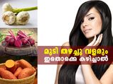 മുടി തഴച്ചു വളരും; ഇതൊക്കെ കഴിച്ചാല്‍ മതി