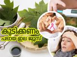 പപ്പായ ഇല ജ്യൂസ് കുടിച്ചാല്‍ ശരീരത്തിലെ മാറ്റം ഇത്‌