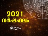 മിഥുനം രാശി: സാമ്പത്തികം ശ്രദ്ധിക്കേണ്ട വര്‍ഷം മുന്നില്‍