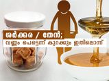 ശര്‍ക്കരയോ തേനോ; വണ്ണം പെട്ടെന്ന് കുറക്കുന്നതിനെ കണ്ടെത്താം