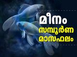 മീനം; ഈ നക്ഷത്രക്കാര്‍ക്ക് നേട്ടങ്ങളുടെ കാലം