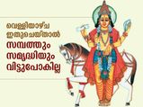സമ്പത്തും സമൃദ്ധിയും ഫലം; വെള്ളിയാഴ്ച ഇങ്ങനെ ചെയ്യൂ