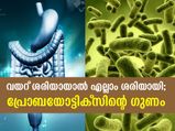 വയറ് ശരിയായാല്‍ എല്ലാം ശരിയായി; പ്രോബയോട്ടിക്‌സിന്റെ ഗുണം