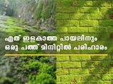 ഏത് പഴകിയ പായലും ഇളകി വരും ട്രിക്‌സും ടിപ്‌സും