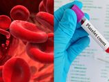 Thalassemia : പാരമ്പര്യമായി പകരുന്ന തലാസീമിയ; ലക്ഷണങ്ങളും ചികിത്സയും