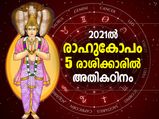 പ്രശ്‌നങ്ങളൊഴിഞ്ഞ് സമയമില്ല; 2021 ല്‍ ഈ 5 രാശിക്കാരെ രാഹു ബാധിക്കും