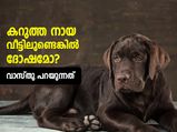 കറുത്ത നായ വീട്ടിലുണ്ടെങ്കില്‍ നല്ലതോ ദോഷമോ? വാസ്തു പറയുന്നത്