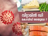 കോവിഡിനെ പ്രതിരോധിക്കാന്‍ വിറ്റാമിന്‍ ഡി; വിദഗ്ധര്‍ പറയുന്നത് ഇത്