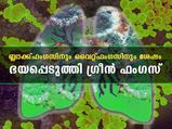 ബ്ലാക്ക്, യെല്ലോ, വൈറ്റ് ഫംഗസുകള്‍ക്ക് പുറമേ രാജ്യത്ത് ഗ്രീന്‍ ഫംഗസ്