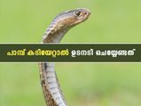 പാമ്പ് കടിയേറ്റാല്‍ ഏറ്റവും ആദ്യം ചെയ്യേണ്ടത് ഇതാണ്