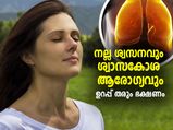 ശ്വസനം സുഗമമാക്കും, ആരോഗ്യം മെച്ചപ്പെടും; ആന്റിഓക്സിഡന്റ് ഭക്ഷണം നല്‍കും ഗുണം