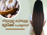 വെളുത്തുള്ളി ഉപയോഗം ഇങ്ങനെയെങ്കില്‍ നീളമുള്ള കട്ടിയുള്ള മുടി ഉറപ്പ്
