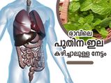 രാവിലെ രണ്ട് പുതിന ഇല കഴിച്ചാല്‍ ശരീരത്തില്‍ സംഭവിക്കുന്നത്