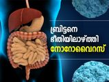 കോവിഡിന് പിന്നാലെ ബ്രിട്ടനെ ഭീതിയിലാക്കി നോറോവൈറസ് വ്യാപനം
