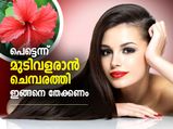 മുടിവളര്‍ച്ച പെട്ടെന്ന്; ചെമ്പരത്തി പൂവും ഇലയും ഇങ്ങനെ തേക്കൂ